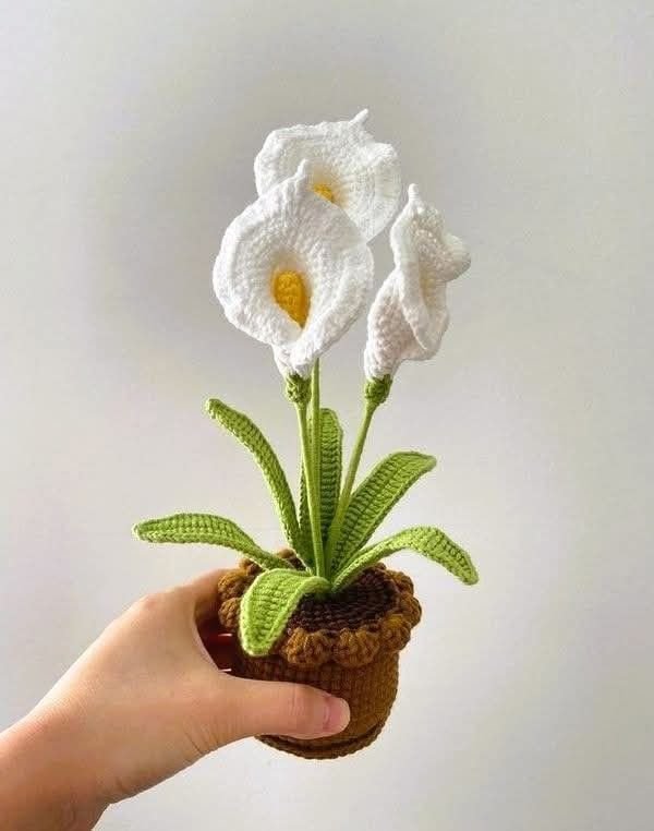 5991e073118efcc567a467c362ffe678